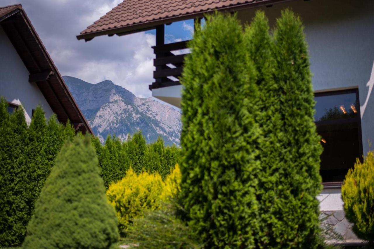Jack Residence Buşteni Εξωτερικό φωτογραφία