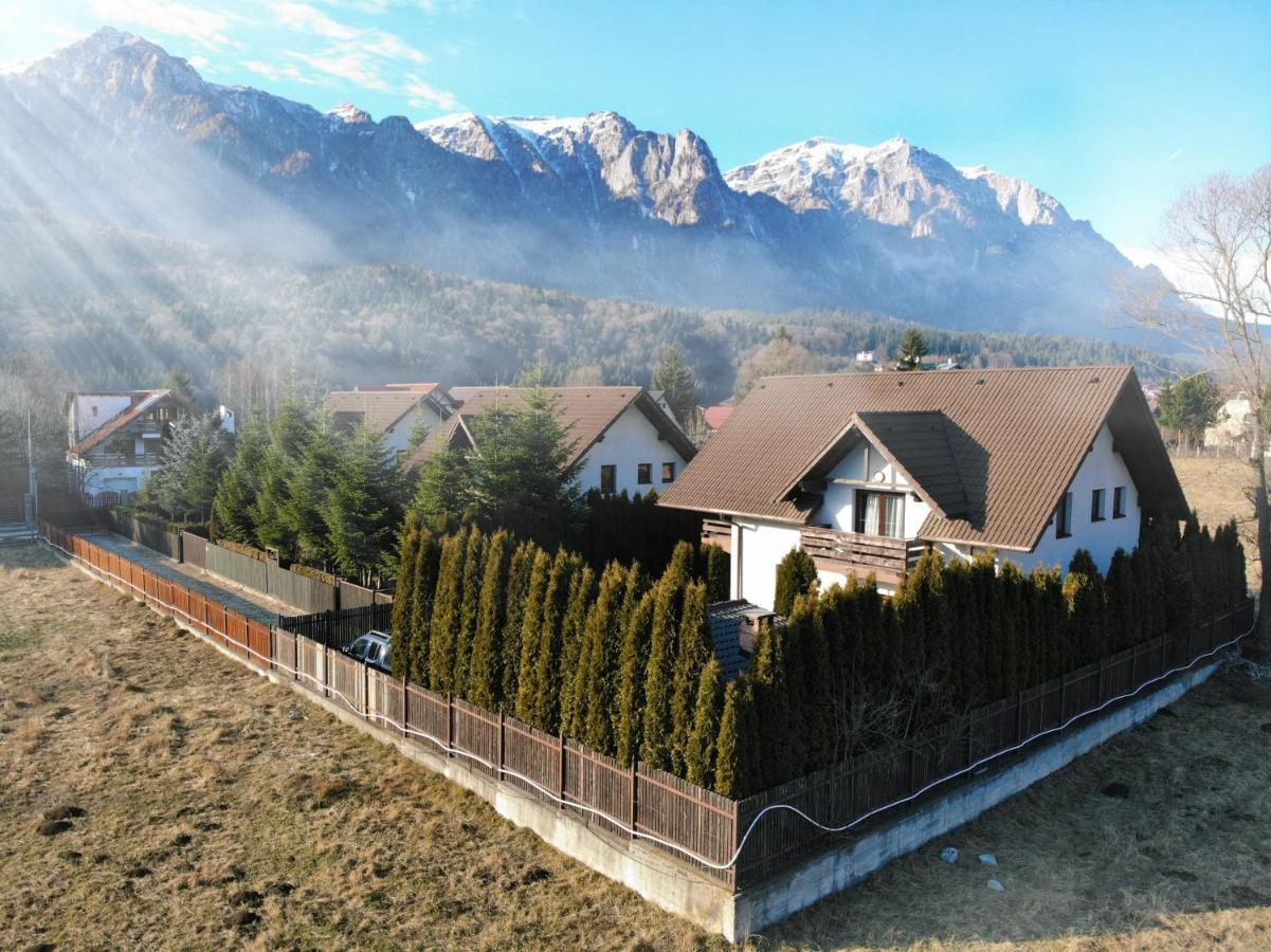 Jack Residence Buşteni Εξωτερικό φωτογραφία